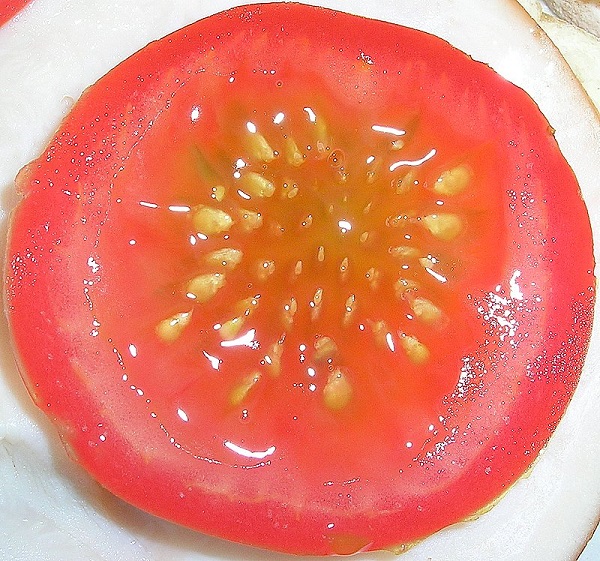 Как правильно обработать семена томатов